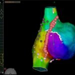 WhatsApp Image 2025-08-04 at 22.18.04